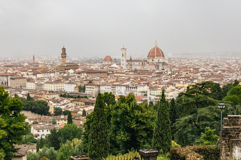 Florence: Countryside Vintage Fiat 500 Driving Tour