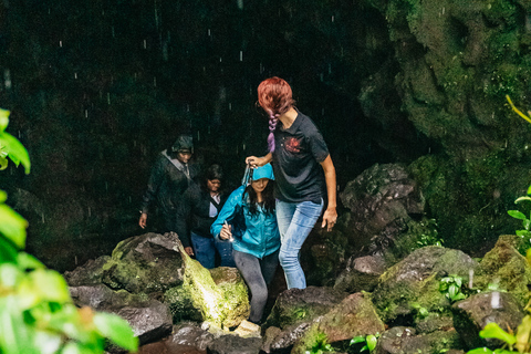 Mauna Kea: Stellar Explorer Tour from Hilo