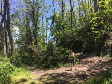 Vesuv-Nationalpark: Geführte Wanderung im Tal der Hölle