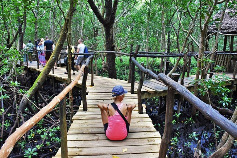 Zanzibar: Excursão a pé pela floresta de Jozani com guia de turismoZanzibar: Passeio pela floresta de Jozani e macacos colobus vermelhos de Zanzibar