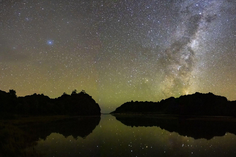 Stewart Island: Wild Kiwi Experiences Stewart Island: Wild Kiwi Encounter