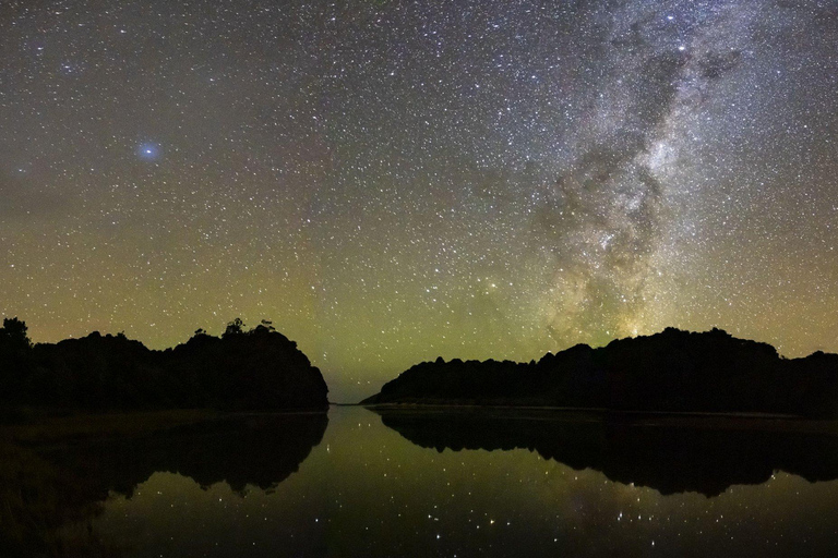 Stewart Island: Wild Kiwi Experiences Stewart Island: Wild Kiwi Encounter