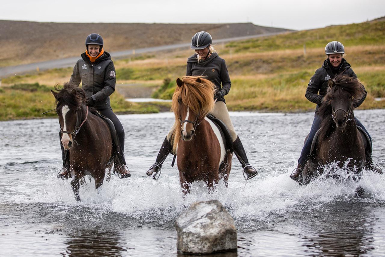 Varmahlid: 1-Hour Icelandic Horse Riding Tour