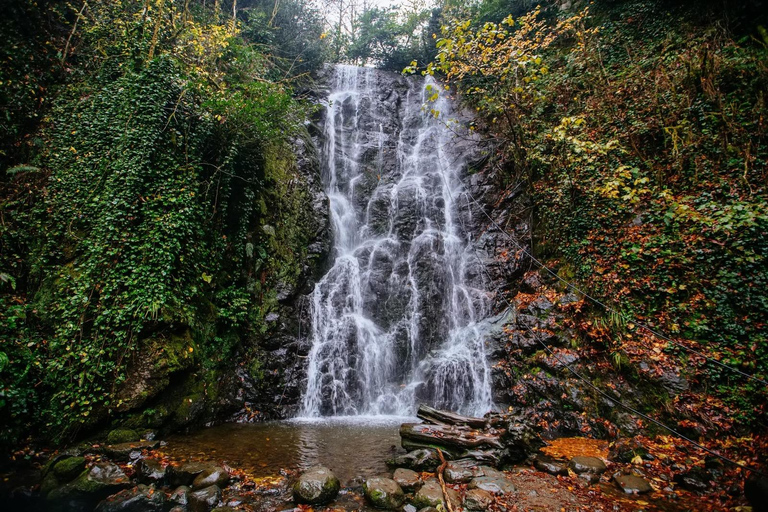 Batumi: Makhuntseti Waterfall, Mountain Views & Local Wine