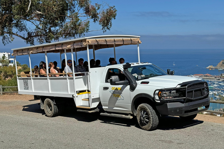 Catalina Island: Sunset Summit Tour