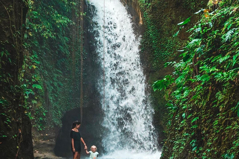 Ubud: Discover Hidden Waterfalls with Swing & Rice Terrace Private Tour with Entry Tickets