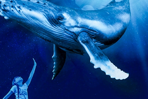 Mallorca: toegangsticket voor het Palma Aquarium met 3D-bioscoop