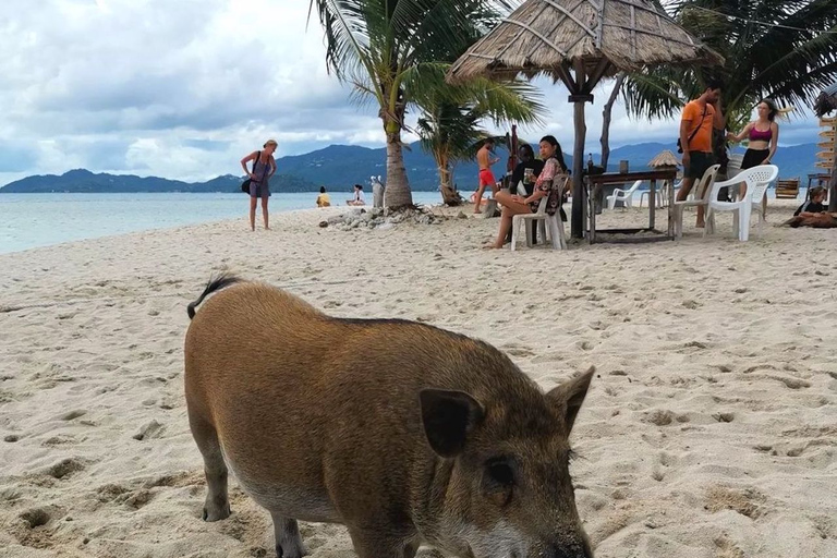 Koh Samui: Privé Longtail Boot naar Varkenseiland met SnorkelKoh Samui: Privé Longtail Tour naar Varkenseiland met Snorkel
