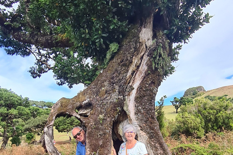 فونشال: جولة عائلية في جزيرة ماديراجولة عائلية في جزيرة ماديرا