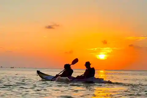Holbox: Mangrove Sunset Kayak Tour