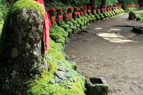 Nikko: Kegon Falls, Chuzenji, Shinkyo Bridge, Toshogu Temple In Luxury Velfire Nikko Private Customized Tour