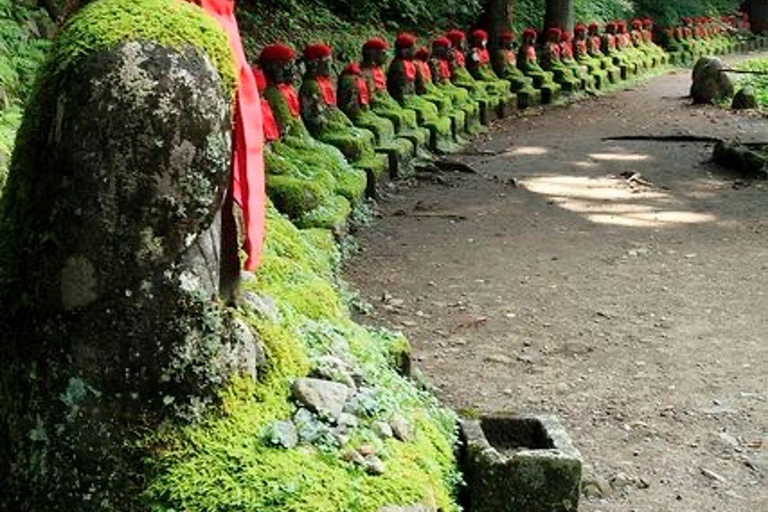 Nikko: Kegon Falls, Chuzenji, Shinkyo Bridge, Toshogu Temple In Luxury Velfire Nikko Private Customized Tour