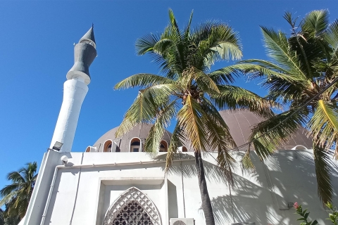 Île de la Réunion : Temples et religions visite d'une demi-journéeChauffeur/guide parlant chinois