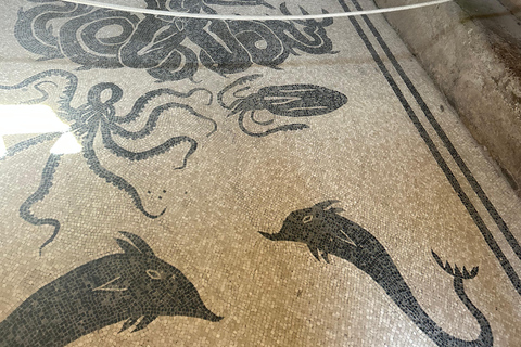 Naples/Salerno Port: Discover the Pompeii Archeological Site Naples port: Regular Grp - French