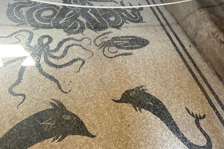 Naples/Salerno Port: Discover the Pompeii Archeological Site Naples port: Regular Grp - French