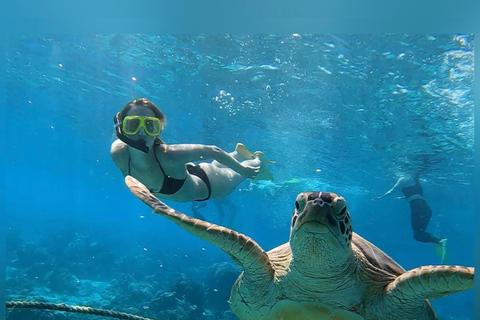 Depuis l&#039;île de Gili : Après-midi de plongée avec masque et tuba 3 îles