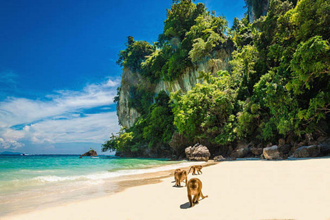 Von Phi Phi aus: Maya Bay Private Long Tail BootstourVom Phi Phi Pier: Maya Bay für 4 Stunden mit dem Privatfahrzeug