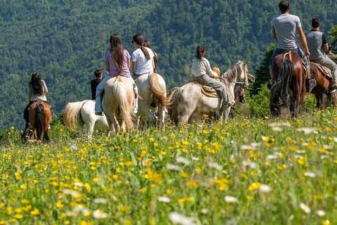 From Yerevan: Extreme Park Private Tour with Activities