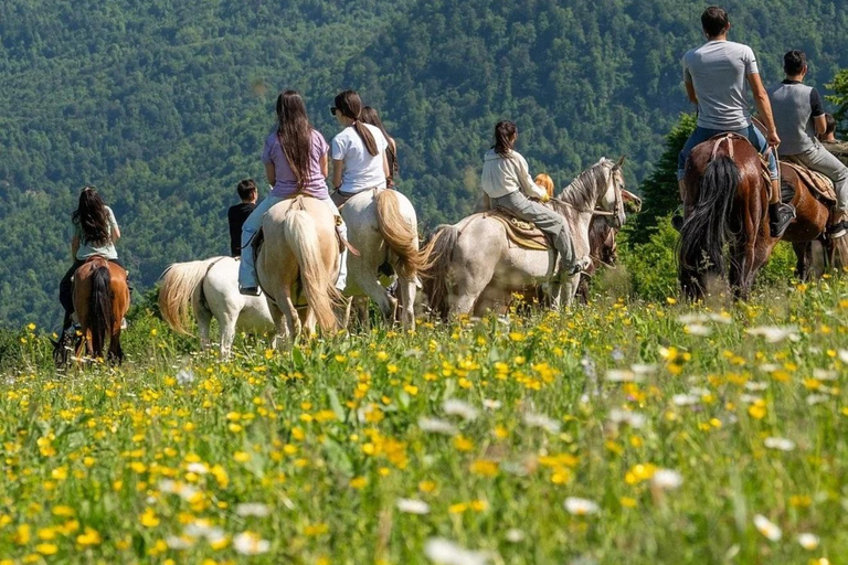 From Yerevan: Extreme Park Private Tour with Activities