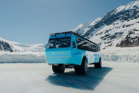 Columbia Icefield, Glacier Adventure & Skywalk Premium Tour