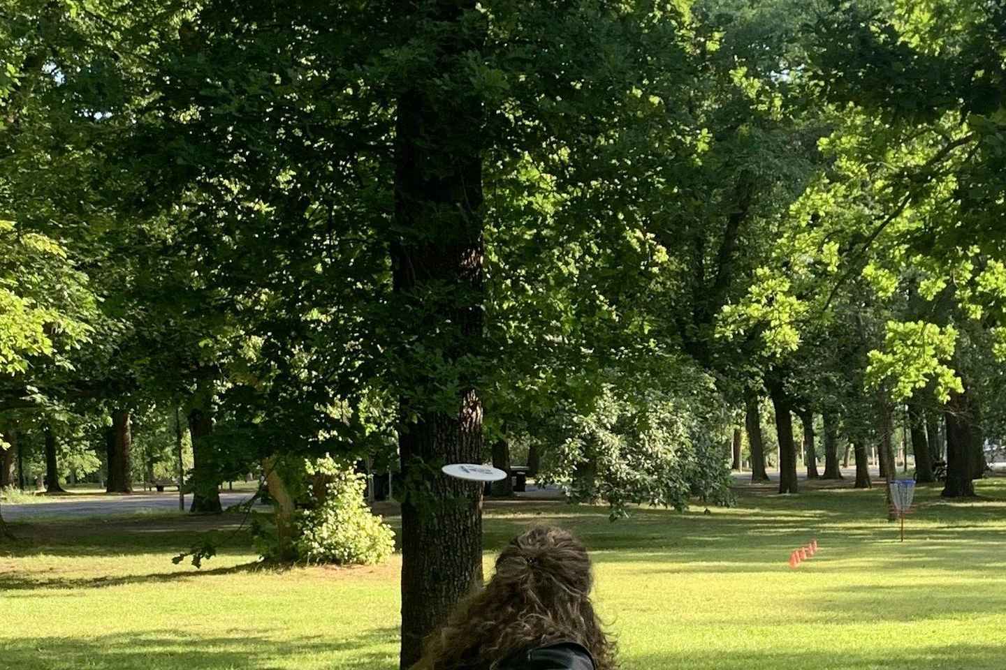 Frisbee golf / disc golf: Fun and games in a beautiful park in Leipzig