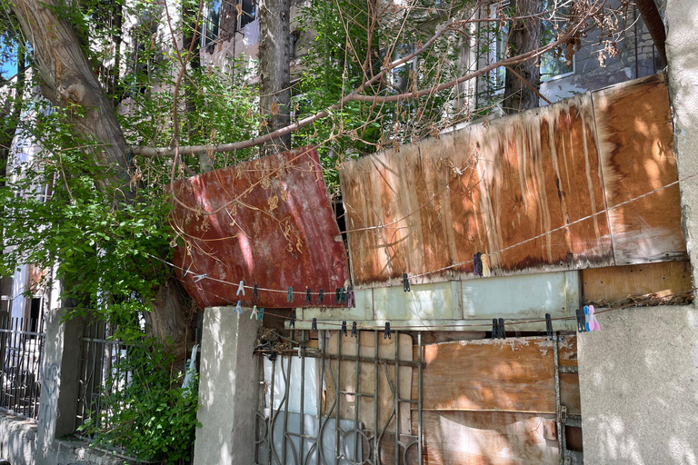 Tbilisi: Alternative Side Walking Tour — Raw, Real & Broken