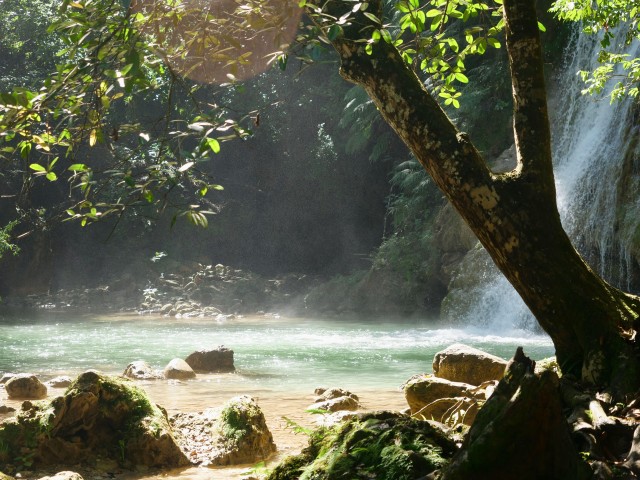 Visit Private coffee trail ATV tour + waterfall horseback riding in Las Terrenas