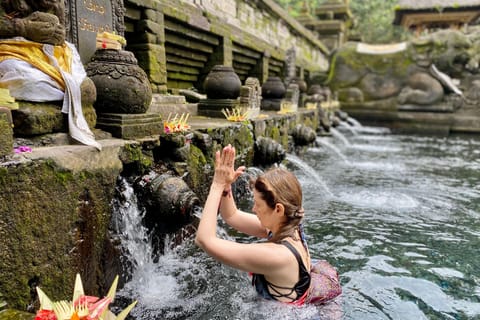 Ubud: Tirta empul temple, Rice terrace and Waterfall