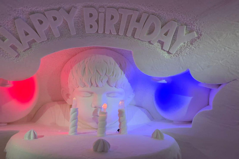 Levi: Private Snow Village tour. Northern lights possibility