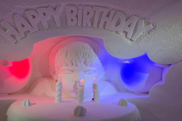 Levi: Private Snow Village tour. Northern lights possibility