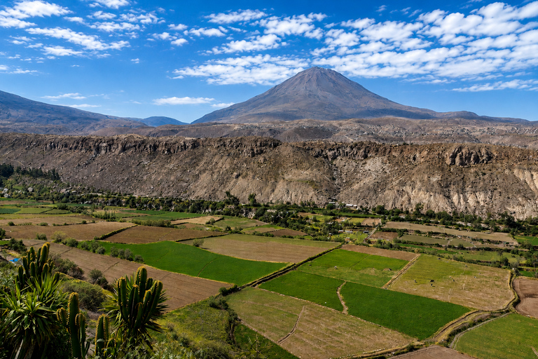Arequipa: 4-Hour Panoramic City Bus Tour with Volcano Views