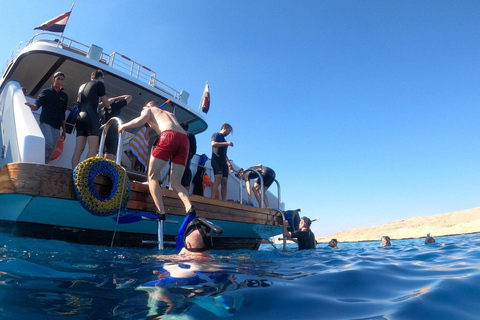 Excursão de 1 dia para mergulho com snorkel e passeio pela ilha com cruzeiro guiado de luxoFuga tranquila para a Ilha Mahmya