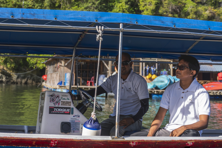 Langkawi: Sharing Mangrove Boat Tour 2 Hours