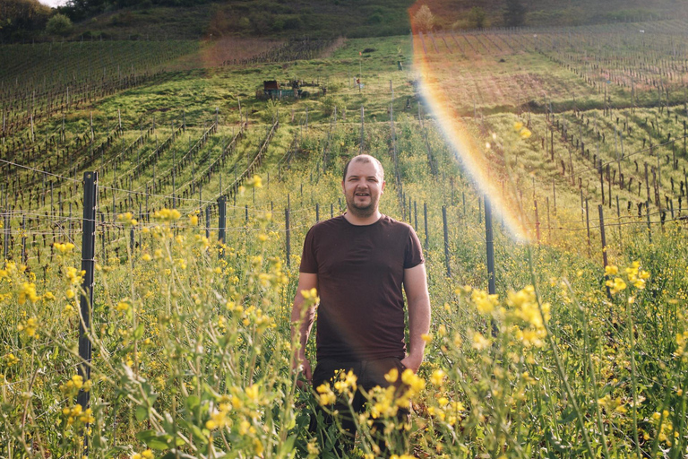 Reil, Mosela: Cata guiada de vinos ecológicos y visita a la bodegaReil, Mosela: Visita guiada a la bodega y cata de vinos ecológicos.