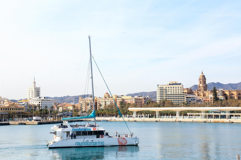 Malaga: gita in catamarano con opzione tramontoTour in catamarano al tramonto con bicchiere di cava