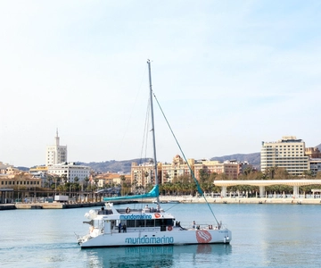 Malaga: Sailing Catamaran with Swimming and Paella Lunch