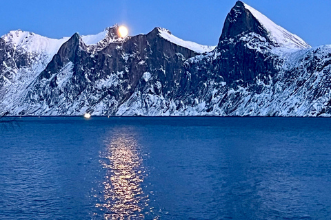 From Tromsø: Discover Senja Island with Local Guide From Tromsø: Privately Discover Senja with Local Guide