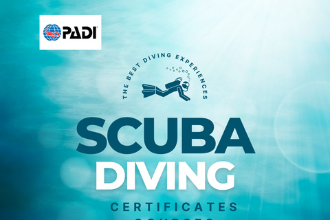 Aqaba: Cursos de Certificação de Mergulho ( PADI )