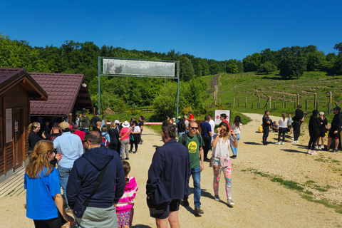 布拉索夫：特兰西瓦尼亚3日精选私人游