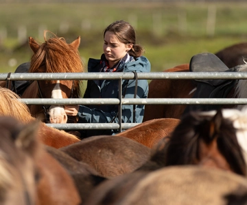 Hveragerdi: Excursión a Caballo con Encanto Rural