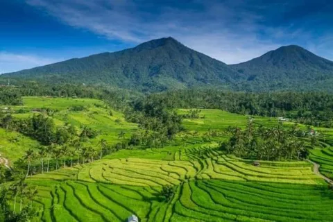 Bali: Ontwerp je eigen reis met privéchauffeur