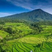 Bali : Design Your Customize Trip with Private Driver