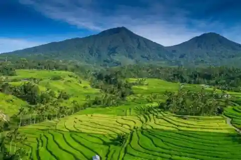 Bali: Crea il tuo viaggio su misura con autista privato