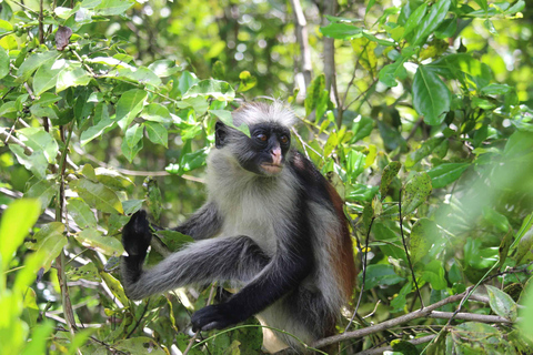 7-Day Safari Mikumi, Selous Game Reserve and Zanzibar Beach