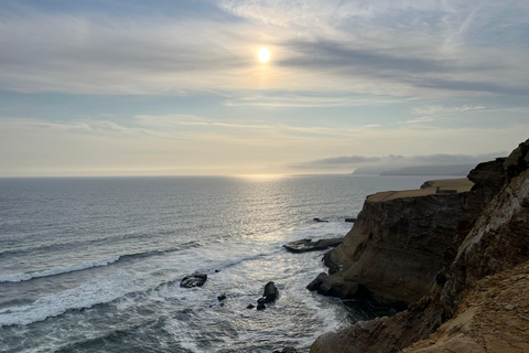 From Ica: Ballestas Islands and Paracas National Reserve. Private from Ica: Ballestas Islands and Paracas National Reserve.