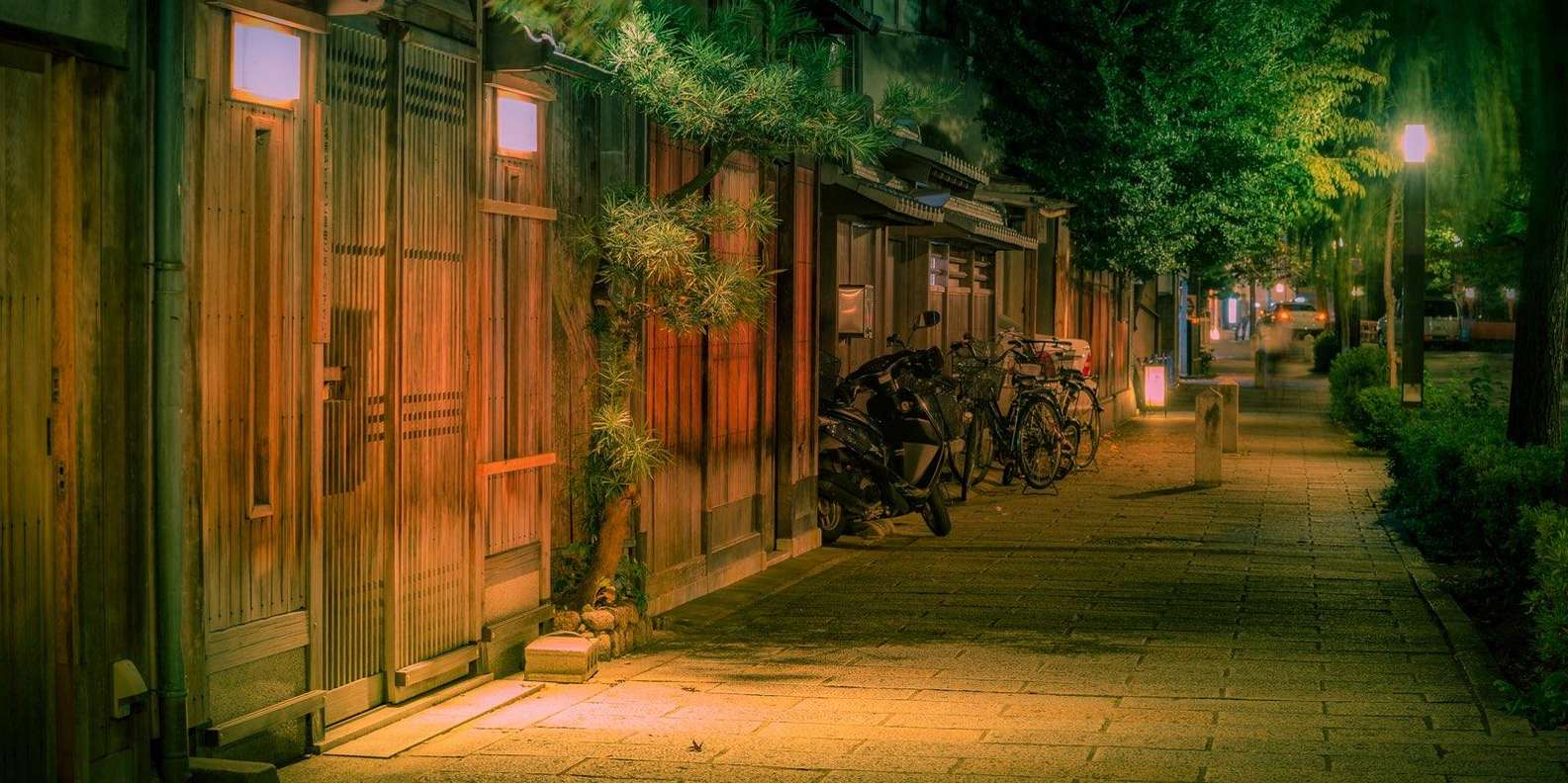 Kyoto experience — temples, geisha, bamboo grove — image 19