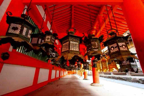 From Osaka/Kyoto: Nara Private Day Tour with Driver/Guide