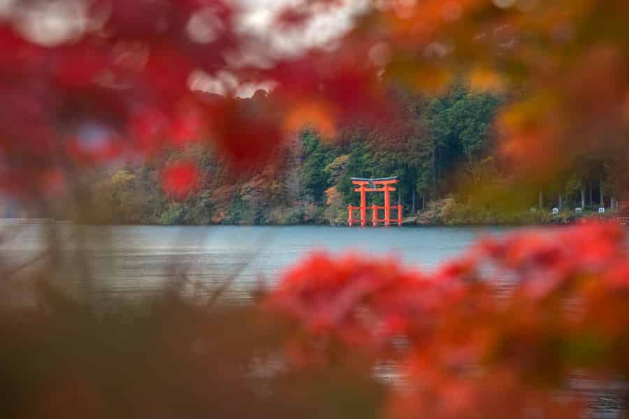 Ab Tokio: Tour zu 6 Sehenswürdigkeiten in Fuji und Hakone mit Shinkansen. Foto: GetYourGuide