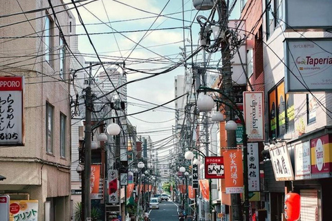 Visite privée personnalisable de Tokyo en voiture et en van