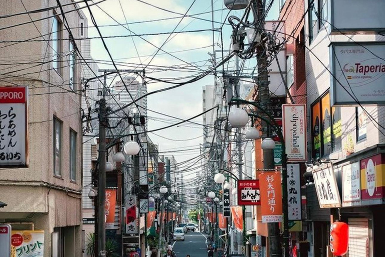 Visite privée personnalisable de Tokyo en voiture et en van